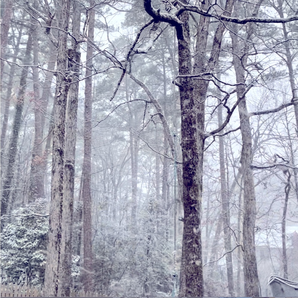 Meet your Posher, Mike